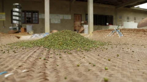 Seeds Of Black Pepper On A Wicker Mat Stock Footage 61462874
