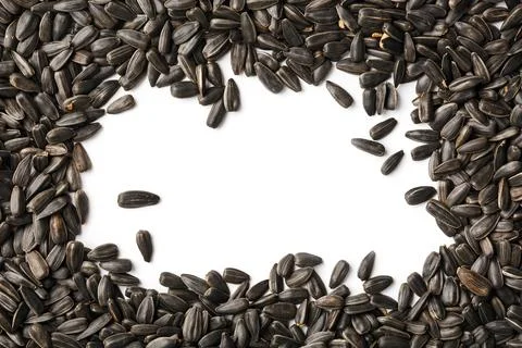 Seeds in a black shell - in the form of a frame a white background in the c.. Фото