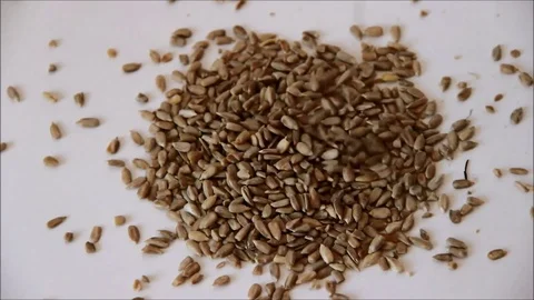 Seeds cascading into a pile Stock Footage 77862260