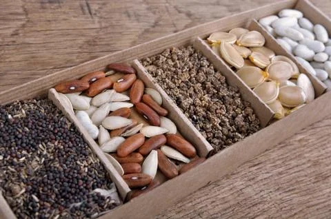 Seeds on cases in a box Stock Photos