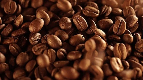 Seeds of coffee fall. Coffee close up. Coffee beans. Coffee beans. quality of Stock Footage 86557799