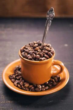 Seeds of coffee Stock Photos