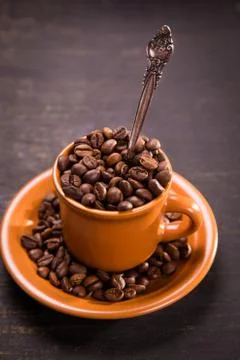 Seeds of coffee Stock Photos