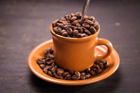 Seeds of coffee Stock Photos