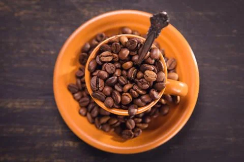Seeds of coffee Foto stock