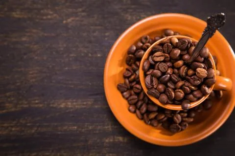 Seeds of coffee Stock Photos