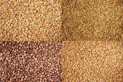 Seeds collection Stock Photos