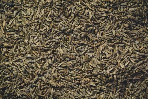 Seeds of cumin Stock Photos