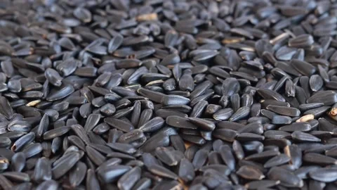 The seeds fall into a heap Stock Footage 235794062