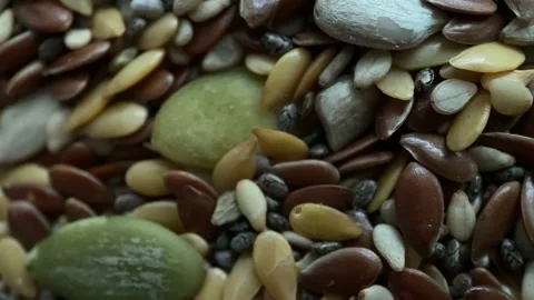 Seeds Stock Footage 139793041
