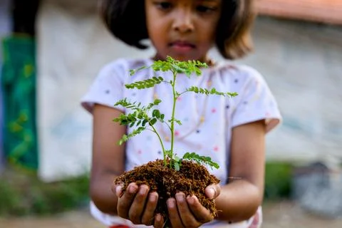 Seeds of Hope Stock Photos
