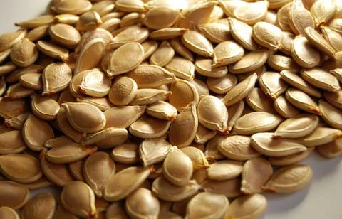 Seeds Stock Photos