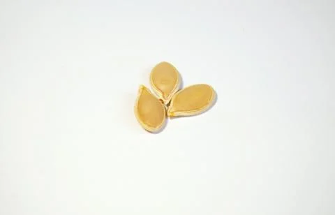 Seeds Stock Photos