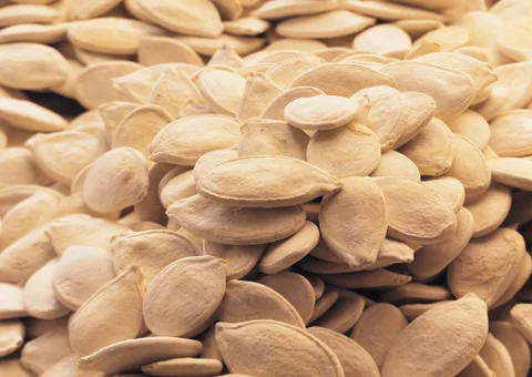 Seeds Stock Photos