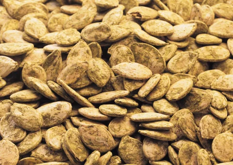 Seeds Stock Photos