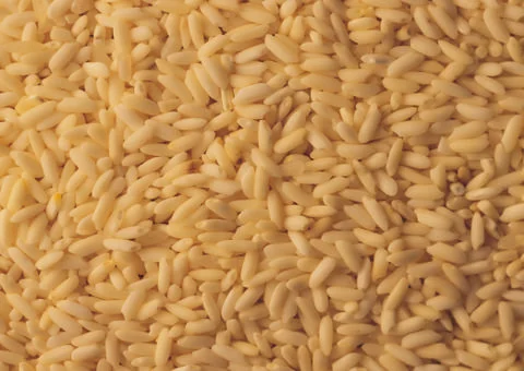 Seeds Stock Photos