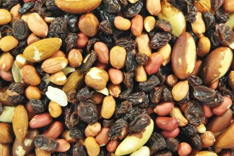 Seeds Foto stock
