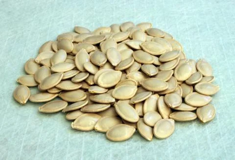 Seeds of a pumpkin Stock Photos