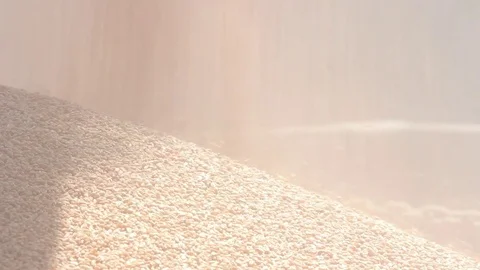 Seeds pushed down Stock Footage 77053824