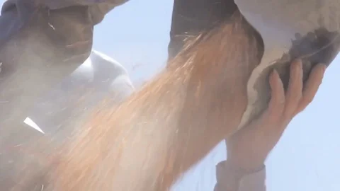 Seeds pushed down Stock Footage