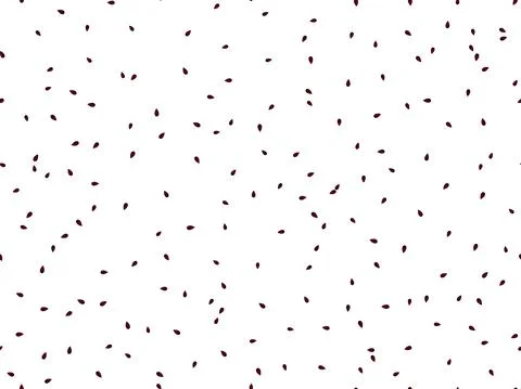 Seeds seamless pattern. Watermelon seeds on a white background. Sunflower 스톡 일러스트
