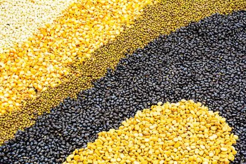 Seeds Spread a flat sheet Stock Photos