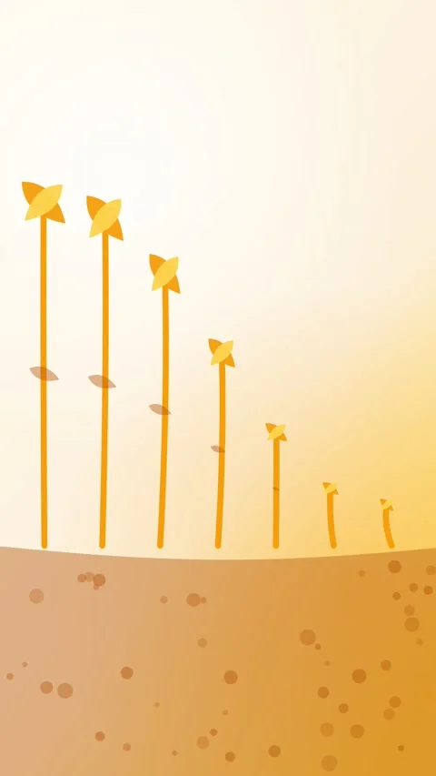 Seeds sprouting from the soil, amber eco vertical 9:16 seamless loop HD motion 库存影片 345161091