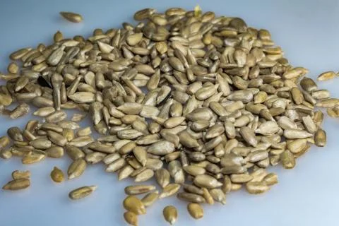 Seeds of the sun Stock Photos