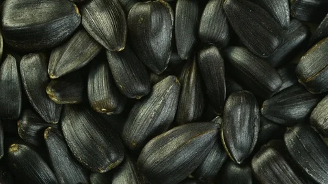 Seeds of sunflower spin closeup macro Stock Footage 121521476