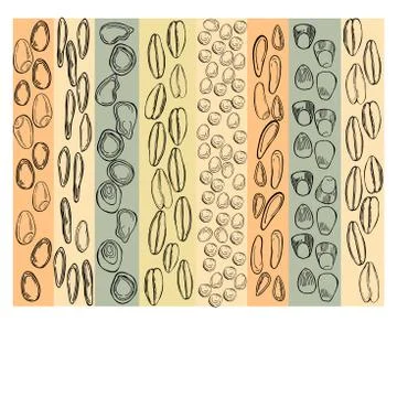 Seeds.  Vector background Illustrazione stock