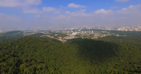 Seeing the city through the forest Stock Footage 106875400