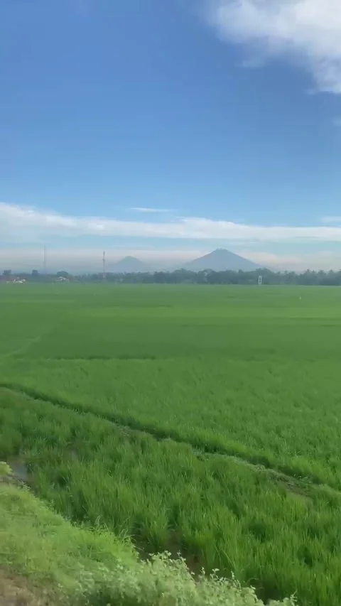 Seeing Nature From a Train 1 Video stock 293143921