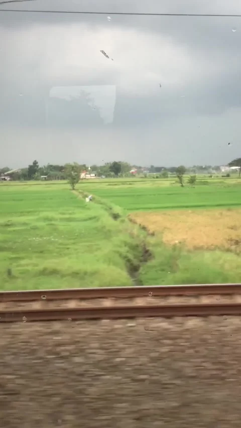 Seeing The Rice Fields From Inside The Train Stock Footage 236747916