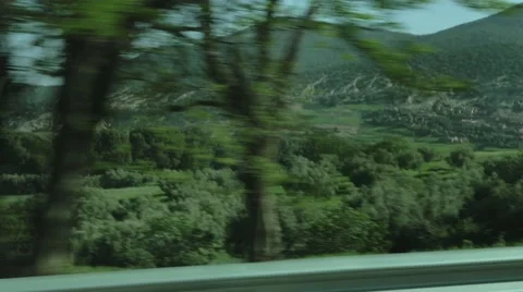Seeing trees from a moving vehicle Video stock 67556835