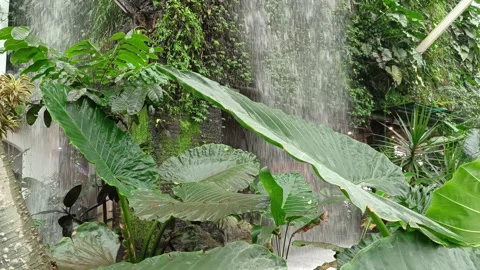 Seeing from under an artificial waterfall that is in a building Stock Footage 219887120