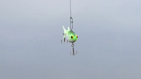 Seeker lures - bleak Stock Footage 61005758