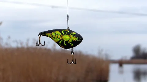 Seeker lures - crow fish Stock Footage 61003317