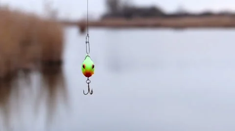 Seeker lures - small fat Stock Footage 61005880