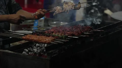 Seekh kebab Stock Footage 208556716