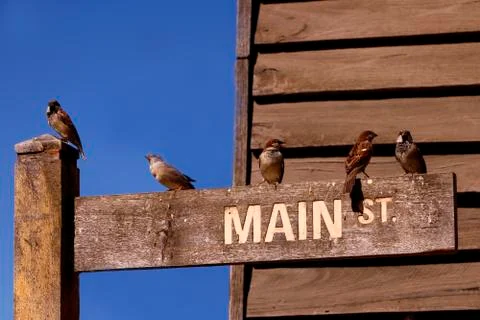 Seeking Direction Stock Photos