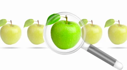 Seeking Magnifier for Apple Stock Footage 49162563