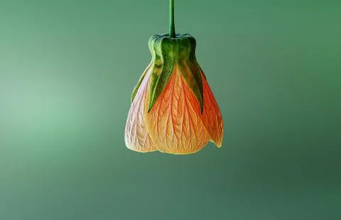 This seems like a lamp Stock Photos