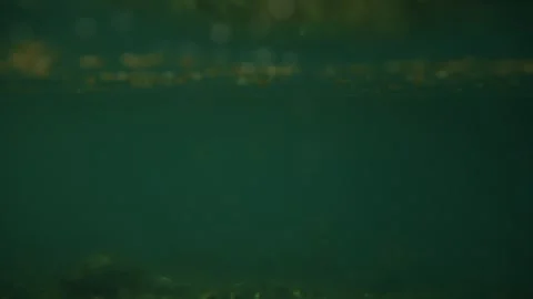 Seen between the surface of the water and underwater, beach, Marseille Stock Footage 287310712