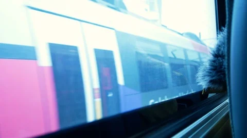 Seen from the window of an Austrian train during the winter period, towards Stock Footage 103214830