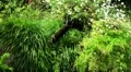 Seesaw 20110422 154411 HD Footage