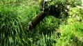 Seesaw 20110422 154455 HD Footage