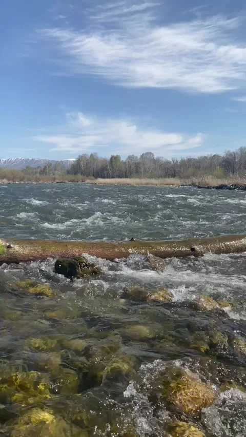 Seething mountain river with beautiful transparent water has reached the steppe Stock Footage 251661216
