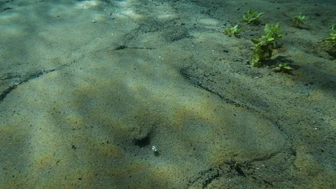 Seething sand in detail on the bottom of the spring lake, Italy Stock Footage 127136511