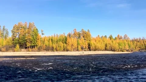 Seething stream. Chulman river in autumn in Neryungri (South Yakutia, Russia) 스톡 동영상 222720772