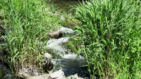 Seething stream of water, a cascading waterfall Stock Footage 198332955